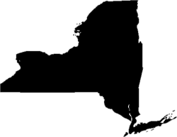 New York Phone System State